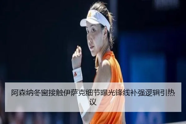 阿森纳冬窗接触伊萨克细节曝光锋线补强逻辑引热议 | ODSPORTS